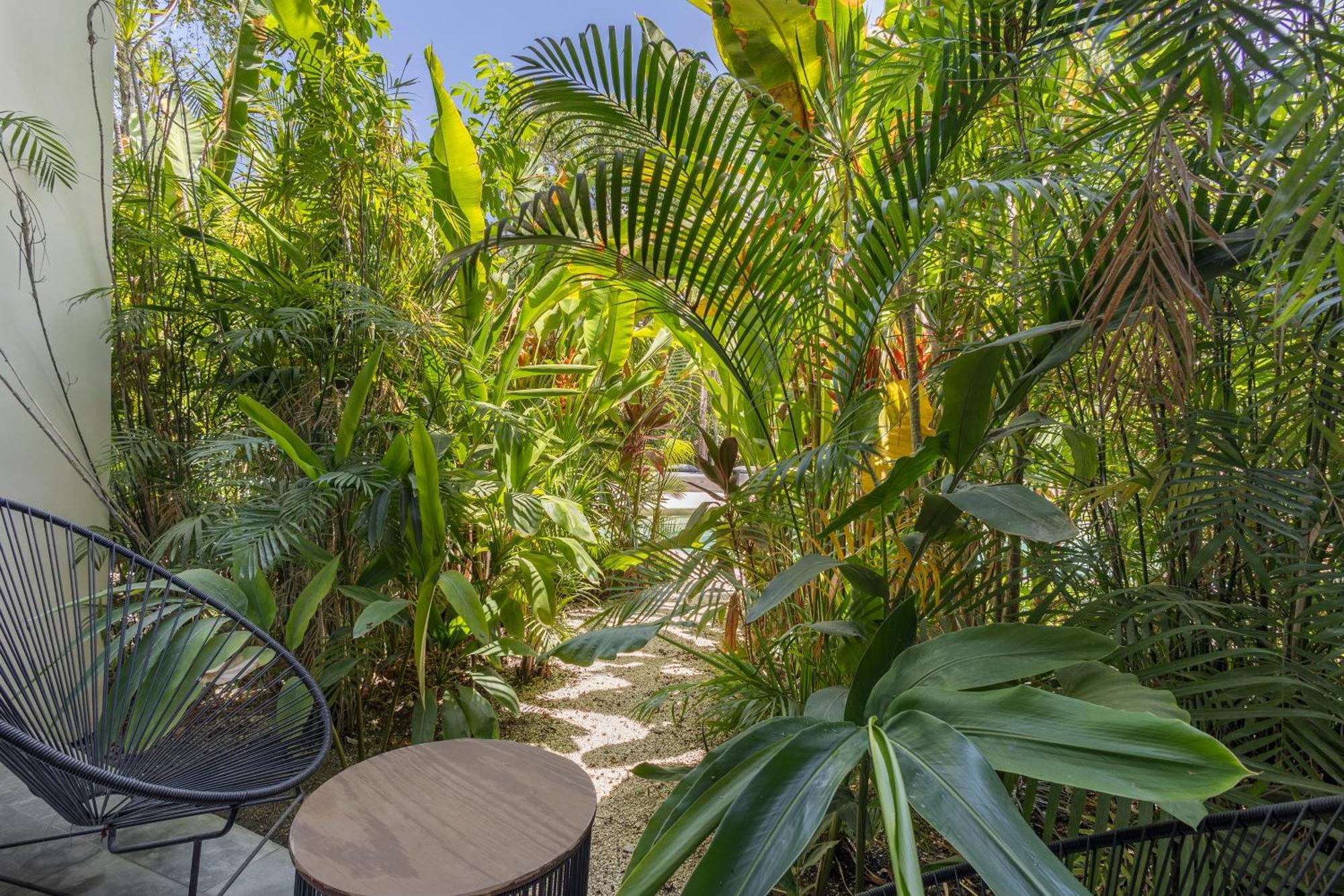 Mistiq Gardens Διαμέρισμα Τουλούμ Εξωτερικό φωτογραφία